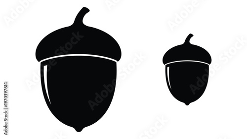 Two black acorns a larger one and a smaller one are displayed on a white background