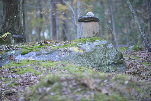 Forest Pagoda