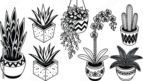 Black and white potted houseplants set with snake plant aloe pothos orchid cactus and fern line art