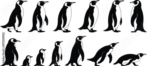 Penguin silhouette collection, black and white standing walking and baby penguin vector set for wildlife design, nature illustration, animal graphic elements