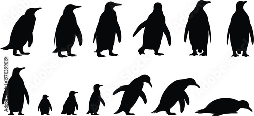 Penguin silhouette set collection, standing walking and resting bird poses in black vector for wildlife design, nature illustration, animal graphic elements