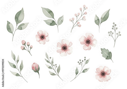 Delicate floral and leafy botanical illustrations in soft pastel tones