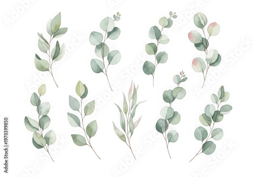 Delicate cluster of green and white floral sprigs arranged in a circular pattern