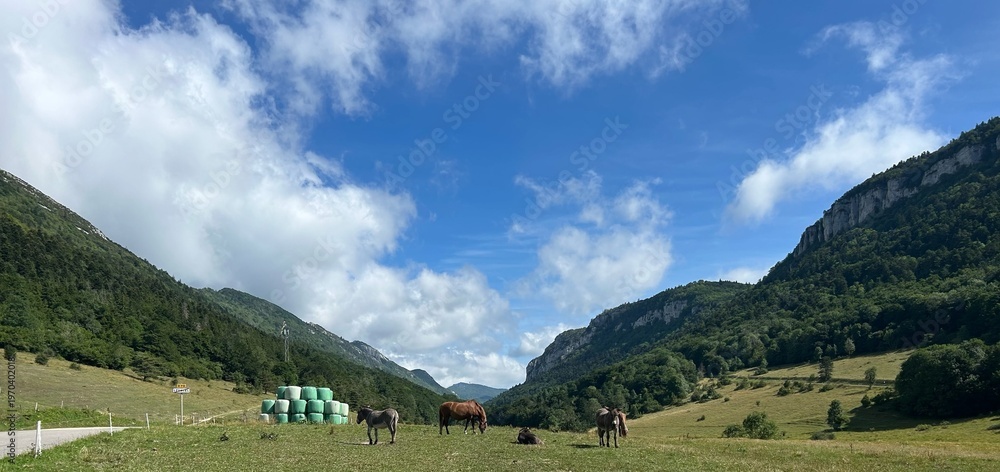 Obraz premium Horses Grazing in Mountain Valley Scenic Nature Landscape