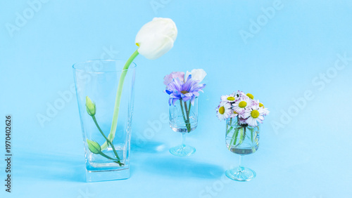 Petals appear near delicate fresh natural flowers, tulips, daisies in glasses