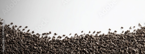 Empty White Background Wooden Seed Tray Bottom Right Corner