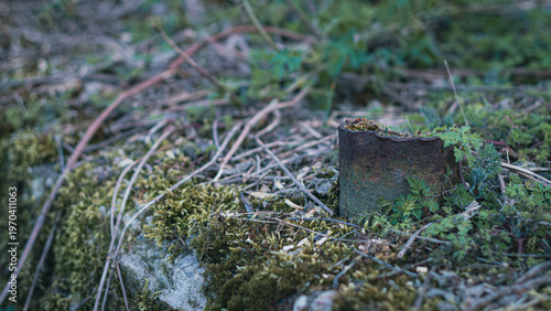 Canvastavla Concrete stab overgrown with a moss and grass