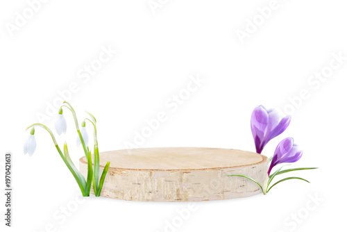 Floral Arrangement with Snowdrops and Purple Crocuses, Isolate on a white background