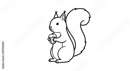 Cute Squirrel Holding an Acorn Vector Line Art Illustration for Coloring Pages and Kids Design