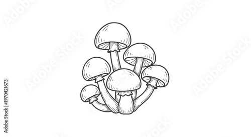 Hand Drawn Sketch of Wild Mushrooms Cluster, Vector Botanical Illustration of Forest Fungi for Design