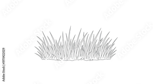 Vector line art illustration of a grass patch tuft isolated on white background