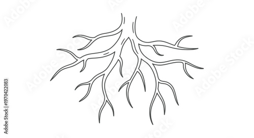 Minimalist Tree Roots Line Art Illustration of Underground Branching System