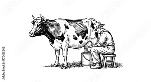 Farmer Milking a Dairy Cow in a Pasture, Vintage Style Engraving Illustration