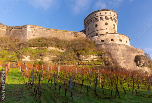 Close view of Marienberg Fortress tower rising above vineyard rows on a sunny hillside in Wurzburg, Germany.