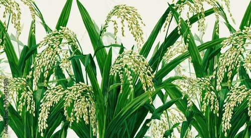 Lush green rice stalks heavy with grain, illustrated against a white backdrop