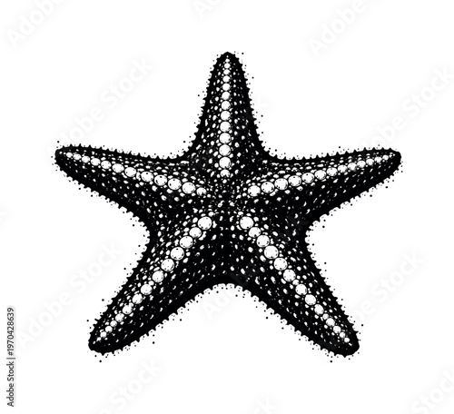 A detailed starfish shown in direct top-down view, centered so its five arms radiate outward evenly, filling most of the frame with a bold organic