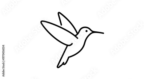 Elegant black line art drawing of a flying hummingbird. Minimalist vector icon with a simple outline design on a white background.