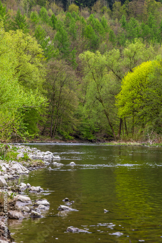 Εκτύπωση καμβά Frühling im Sauerland