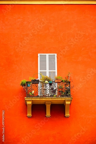 window and flowers