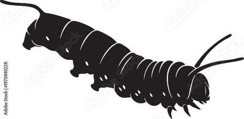 A black silhouette of a caterpillar with white lines