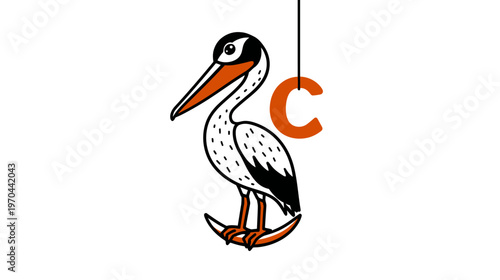 Charming cartoon white stork bird with orange beak and legs, standing next to a hanging capital letter C. Simple graphic design.