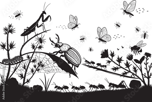 Black and white illustration depicting insects and plants in a garden