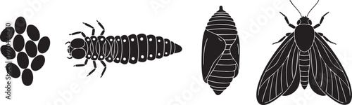 Dragonfly life cycle stages illustrated in a black and white graphic