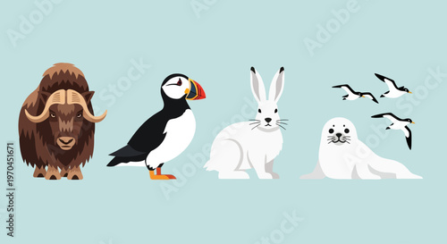 Arctic Animals Collection: Muskox, Puffin, Hare, Seal, Birds