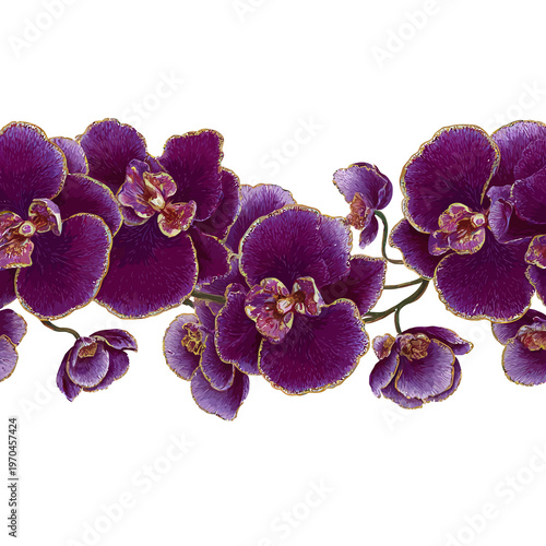 A horizontal border of deep purple orchids with gold-edged petals on black