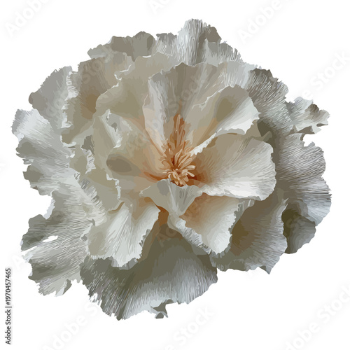 Delicate white flower with layered petals, center peachy-pink hue