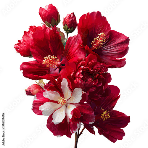 A vibrant bouquet of deep red and white blossoms with intricate stamen