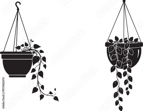 Two black silhouette hanging planters with trailing vines and heart shaped leaves