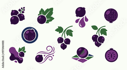 A collection of stylized illustrations of blackcurrants, showcasing various artistic interpretations of the fruit and its essence.
