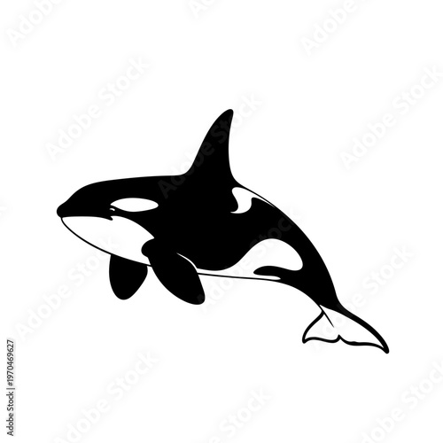 Simple stylized black and white orca icon illustration, depicting a killer whale swimming gracefully in a marine animal theme