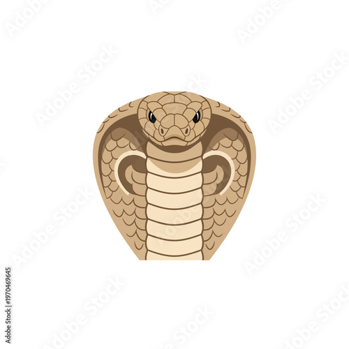 Vibrant Cobra Head Icon, Front View, with Spread Hood, Detailed Vector Illustration of a Potent and Dangerous Serpent