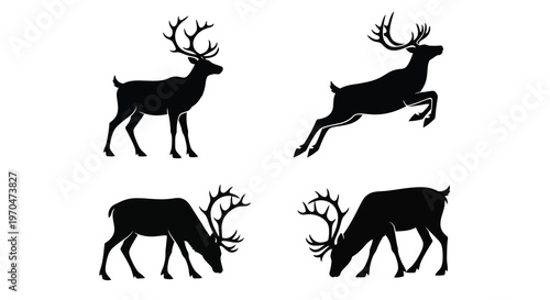 Four reindeer in different poses present a striking black silhouette