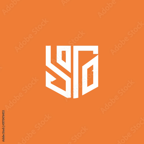 Modern Abstract Geometric Logo Design White Symbol.