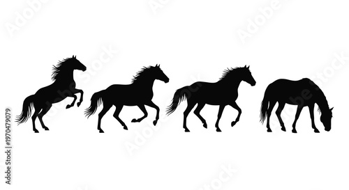 Four horses in various poses are depicted as a striking silhouette
