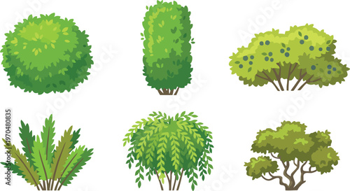 Cartoon Style Detailed Garden Bush Collection Set with Various Shapes