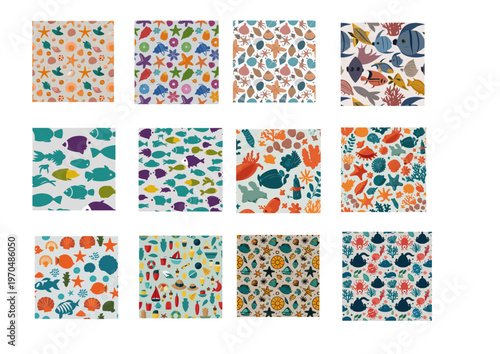 海の生き物・風景