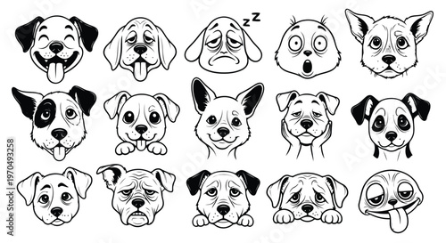 Compilation of dog faces showing different moods from joy and playfulness to tiredness and shock.