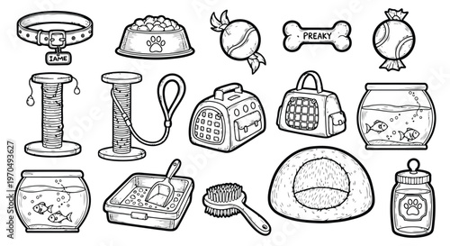 Pet care accessories collection with dog collar food bowl toys and other supplies for domestic animals.