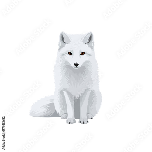 A charming arctic fox sitting elegantly and looking directly at the viewer with its distinctive orange eyes on a clean white background