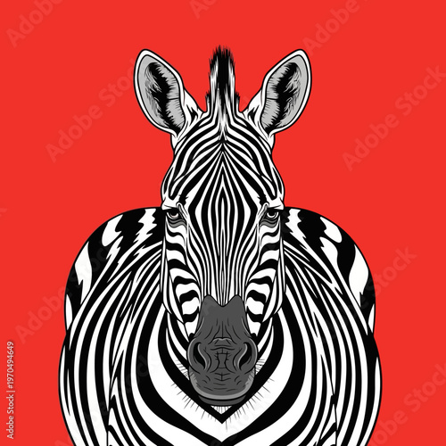 Black and white zebra head portrait.