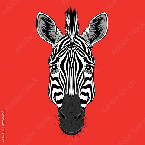 Black and white zebra head portrait.