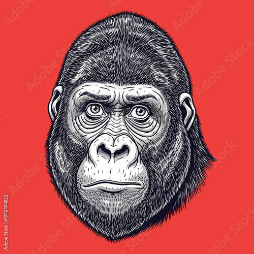 Closeup of a gorilla face portrait.