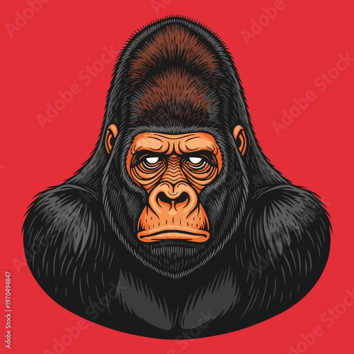 Detailed Illustration of a Gorilla Face.
