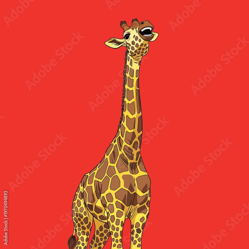 Giraffe Standing Alone Looking Upwards Calmly.