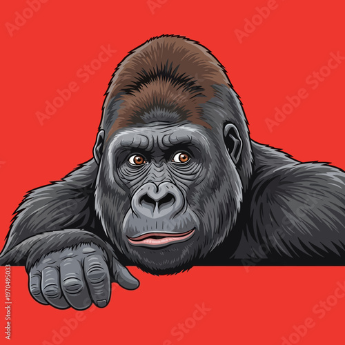 Large Adult Gorilla Looking Ahead.