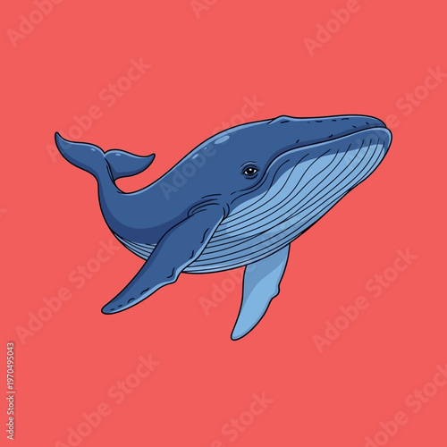 Large Blue Whale Swimming Underwater.